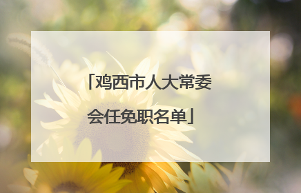 鸡西市人大常委会任免职名单