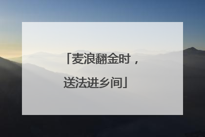 麦浪翻金时，送法进乡间