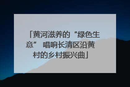 黄河滋养的“绿色生意” 唱响长清区沿黄村的乡村振兴曲
