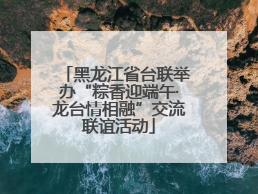 黑龙江省台联举办“粽香迎端午·龙台情相融”交流联谊活动