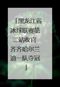 黑龙江省冰球联赛第二站收官 齐齐哈尔兰迪一队夺冠