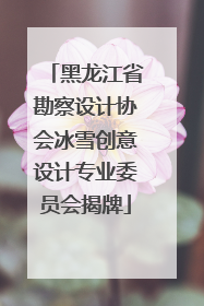 黑龙江省勘察设计协会冰雪创意设计专业委员会揭牌