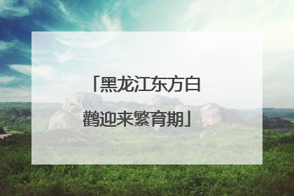 黑龙江东方白鹳迎来繁育期