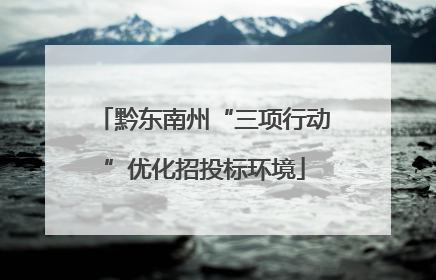 黔东南州“三项行动”优化招投标环境