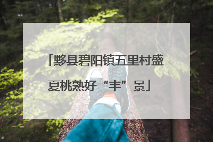 黟县碧阳镇五里村盛夏桃熟好“丰”景