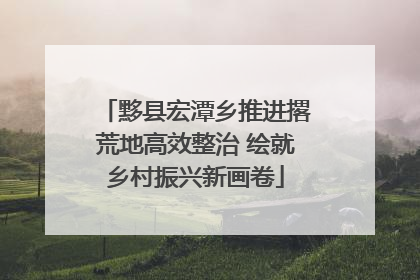 黟县宏潭乡推进撂荒地高效整治 绘就乡村振兴新画卷