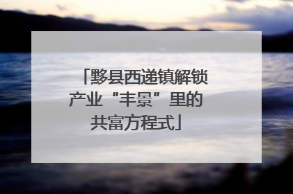 黟县西递镇解锁产业“丰景”里的共富方程式