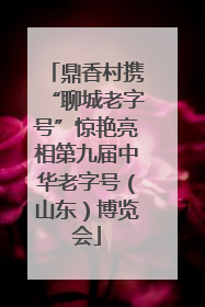鼎香村携“聊城老字号”惊艳亮相第九届中华老字号（山东）博览会