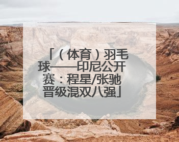 （体育）羽毛球——印尼公开赛：程星/张驰晋级混双八强
