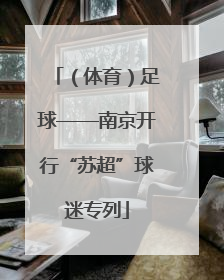 （体育）足球——南京开行“苏超”球迷专列