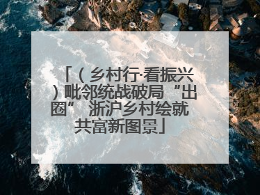 （乡村行·看振兴）毗邻统战破局“出圈” 浙沪乡村绘就共富新图景