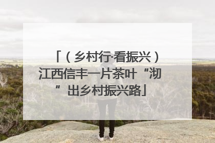 （乡村行·看振兴）江西信丰一片茶叶“沏”出乡村振兴路