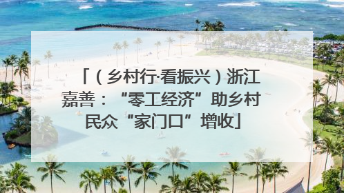 （乡村行·看振兴）浙江嘉善：“零工经济”助乡村民众“家门口”增收
