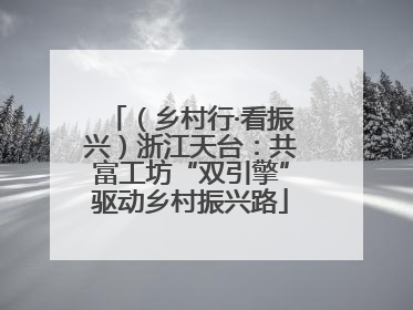 （乡村行·看振兴）浙江天台：共富工坊“双引擎”驱动乡村振兴路