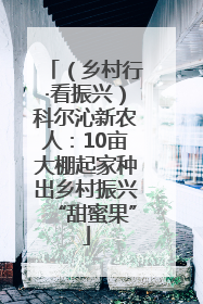 （乡村行·看振兴）科尔沁新农人：10亩大棚起家种出乡村振兴“甜蜜果”