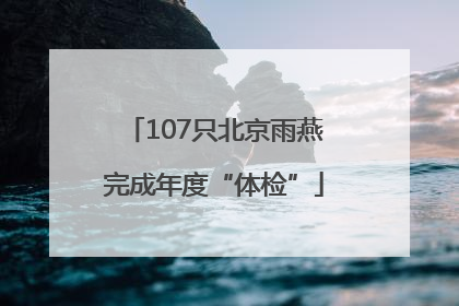 107只北京雨燕完成年度“体检”