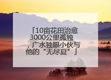 10亩花田治愈3000公里孤独，广水独眼小伙与他的“无尽夏”