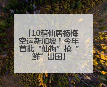 10箱仙居杨梅空运新加坡！今年首批“仙梅”抢“鲜”出国