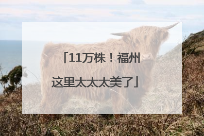 11万株！福州这里太太太美了
