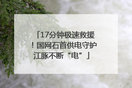 17分钟极速救援！国网石首供电守护江豚不断“电”