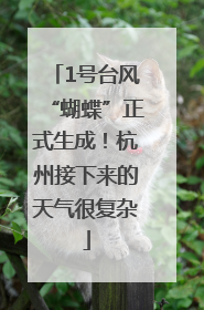 1号台风“蝴蝶”正式生成！杭州接下来的天气很复杂