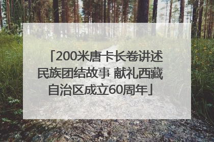 200米唐卡长卷讲述民族团结故事 献礼西藏自治区成立60周年