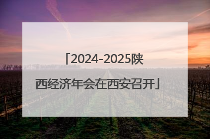 2024-2025陕西经济年会在西安召开