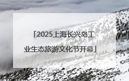 2025上海长兴岛工业生态旅游文化节开幕