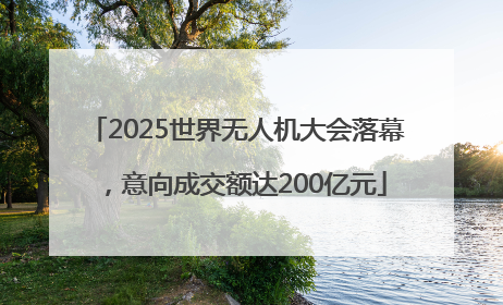 2025世界无人机大会落幕，意向成交额达200亿元