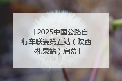 2025中国公路自行车联赛第五站（陕西·礼泉站）启幕