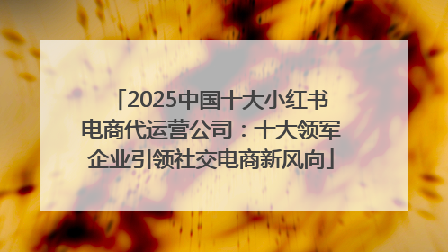 2025中国十大小红书电商代运营公司：十大领军企业引领社交电商新风向