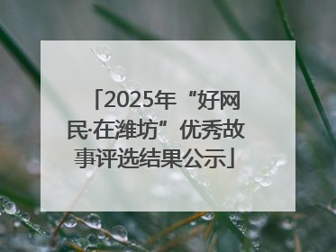 2025年“好网民·在潍坊”优秀故事评选结果公示