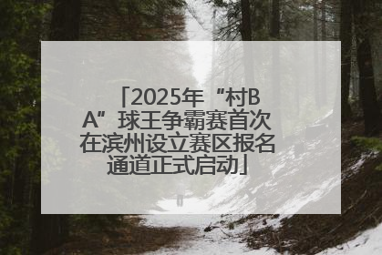 2025年“村BA”球王争霸赛首次在滨州设立赛区报名通道正式启动