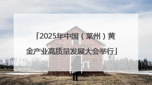2025年中国（莱州）黄金产业高质量发展大会举行