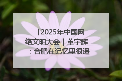 2025年中国网络文明大会｜董宇辉：合肥在记忆里很遥远也很亲切