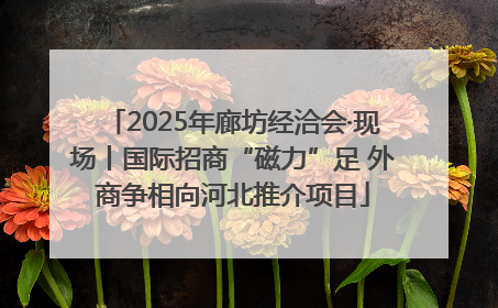 2025年廊坊经洽会·现场丨国际招商“磁力”足 外商争相向河北推介项目