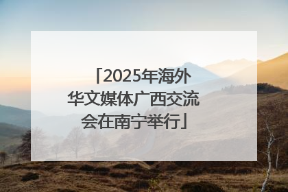 2025年海外华文媒体广西交流会在南宁举行