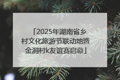 2025年湖南省乡村文化旅游节联动地暨金洞村k友谊赛启幕