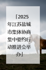 2025年江苏盐城市集体协商集中要约行动推进会举办