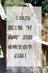 2025都江堰“好嗨啤”消夏夜啤美食季启幕