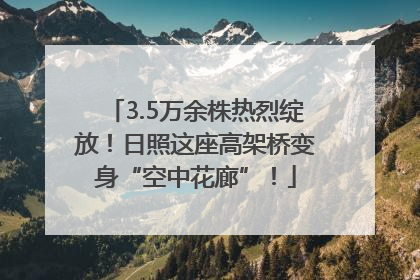 3.5万余株热烈绽放！日照这座高架桥变身“空中花廊”！