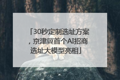 30秒定制选址方案，京津冀首个AI招商选址大模型亮相