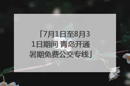 7月1日至8月31日期间 青岛开通暑期免费公交专线