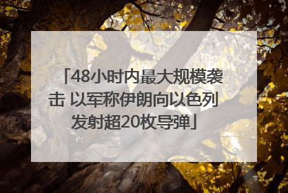 48小时内最大规模袭击 以军称伊朗向以色列发射超20枚导弹