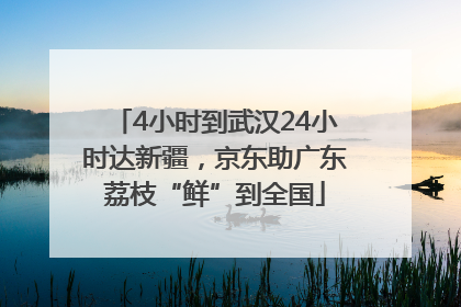 4小时到武汉24小时达新疆，京东助广东荔枝“鲜”到全国