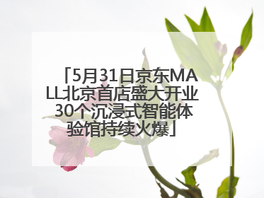 5月31日京东MALL北京首店盛大开业 30个沉浸式智能体验馆持续火爆