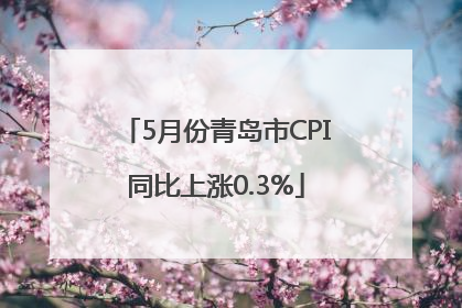 5月份青岛市CPI同比上涨0.3%