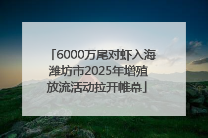 6000万尾对虾入海 潍坊市2025年增殖放流活动拉开帷幕