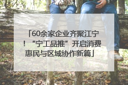 60余家企业齐聚江宁！“宁工品推”开启消费惠民与区域协作新篇