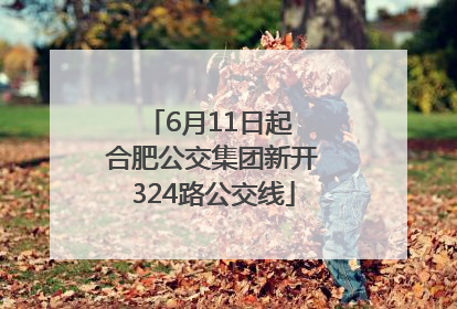6月11日起 合肥公交集团新开324路公交线